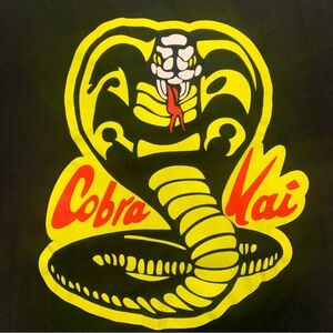 The Karate Kid Cobra Kai Graphic T-Shirt